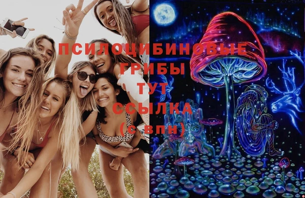 герыч Арсеньев