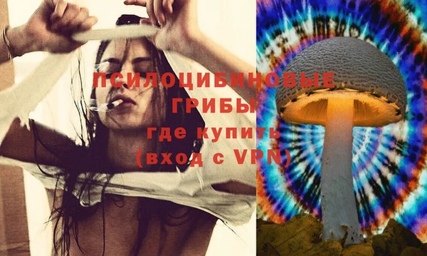 гидропоника Орск