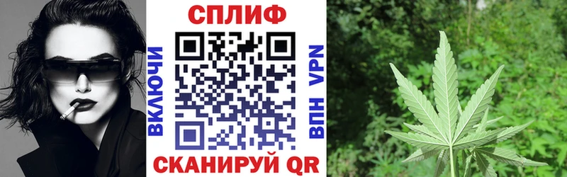 МАРИХУАНА White Widow  продажа наркотиков  Болохово 